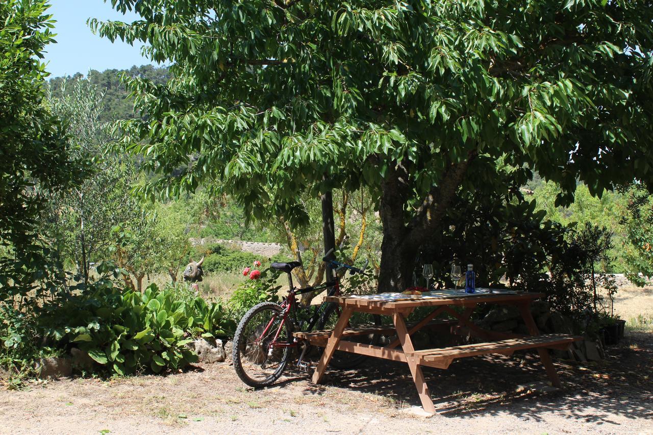 Ca La Nuri Casa de Campo Senant